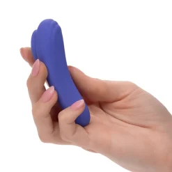 New LoversStores Cal Exotics Connect App Controlled Panty Teaser Vibrator