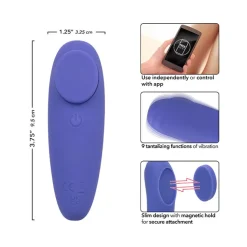 New LoversStores Cal Exotics Connect App Controlled Panty Teaser Vibrator