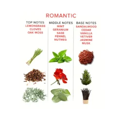 Hot LoversStores Eye of Love Romantic Pheromone Massage Oil Candle