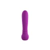 Hot LoversStores FemmeFunn Ultra Bullet Vibrator