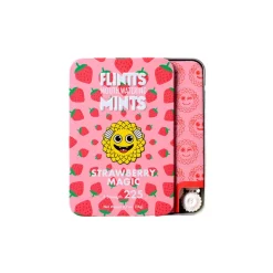 Outlet LoversStores Flintts Mints Mouth Watering Mints