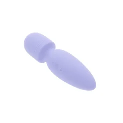 New LoversStores Lovers Wonder Wand Massager