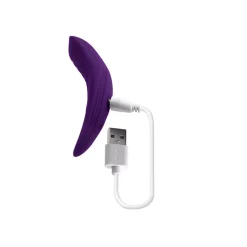 Fashion LoversStores Our Little Secret Panty Vibrator by Playboy Pleasure