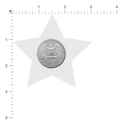 New LoversStores Petite Star Pasties