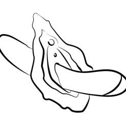 Discount LoversStores Romp Hype G-Spot Vibrator